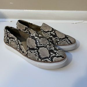 STEVE MADDEN Crocodile slip on sneakers - W 8.5